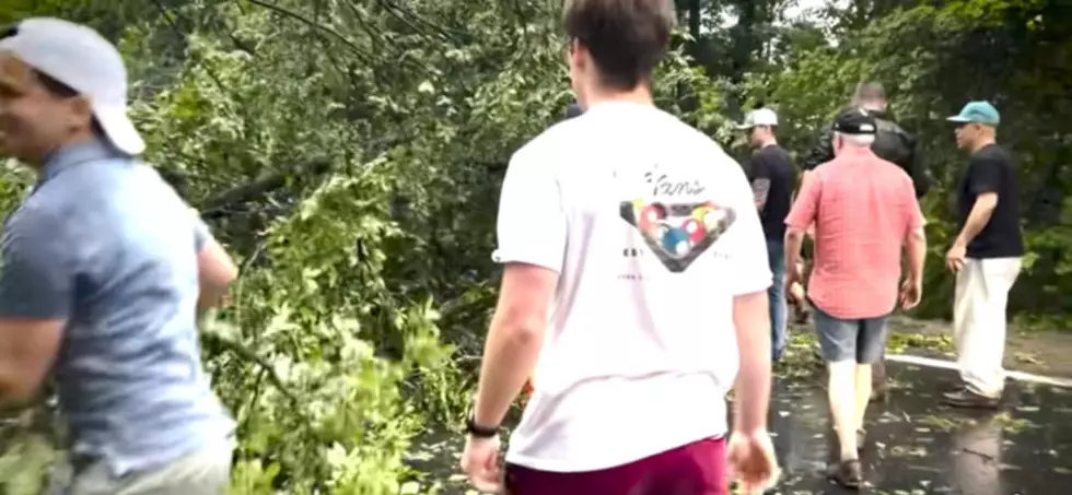 New Yorkers Unite To Clear Fallen Tree On Taconic Parkway