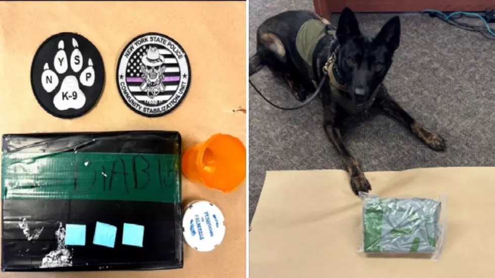 State Police Traffic Stop on Taconic Ends with Arrest for Dangerous Narcotic