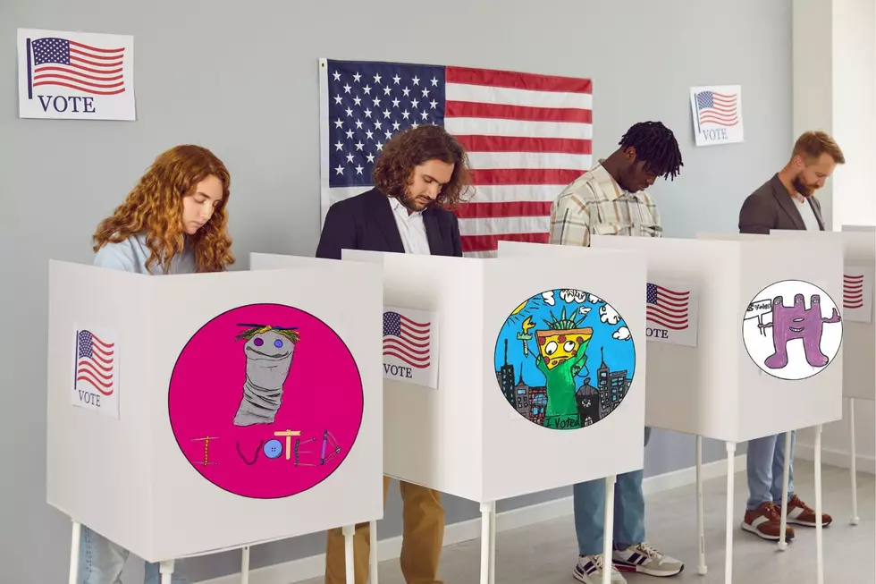 Wild Entries Revealed in Ulster County ‘I Voted’ Sticker Contest