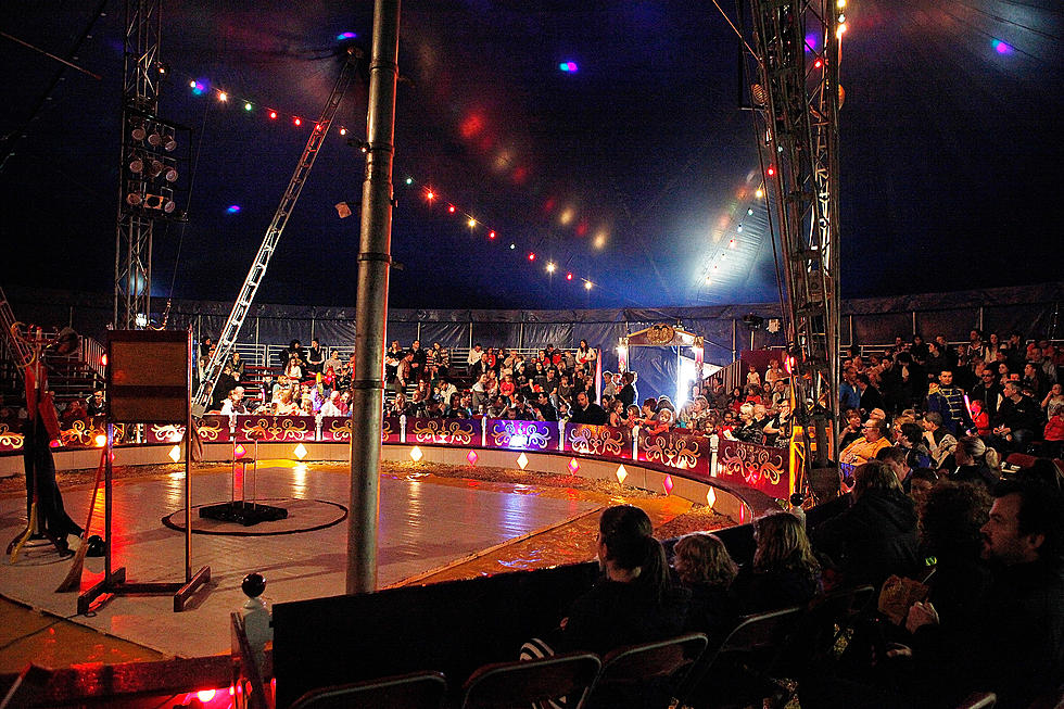 Circus Comes to Kingston