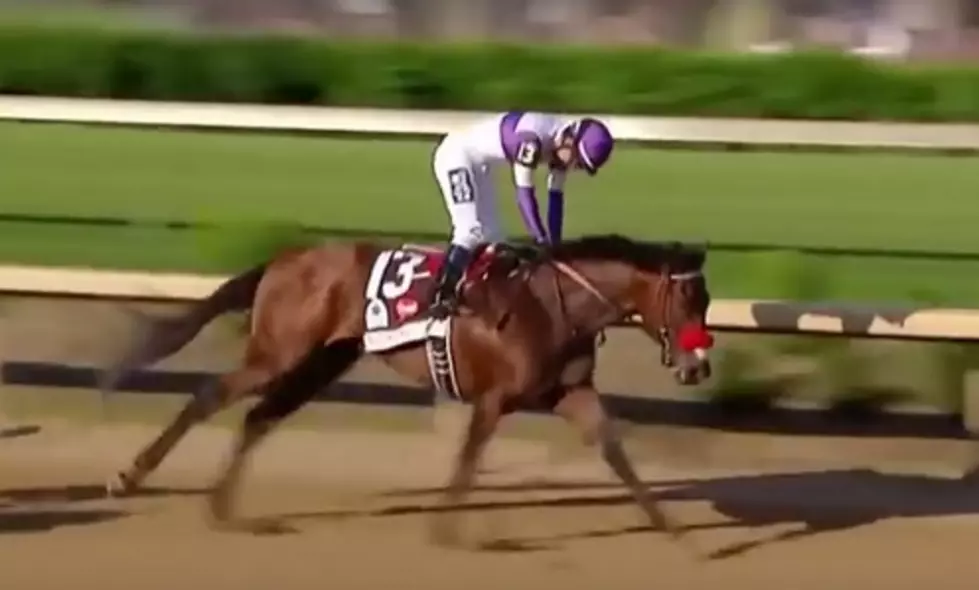 Check Out The Horse Following In American Pharoah&#8217;s Hoof Steps