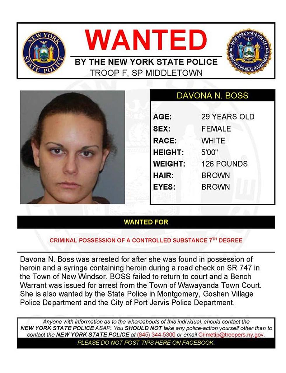 Warrant Wednesday: Orange County Woman Wanted in Four Hudson Valley Towns