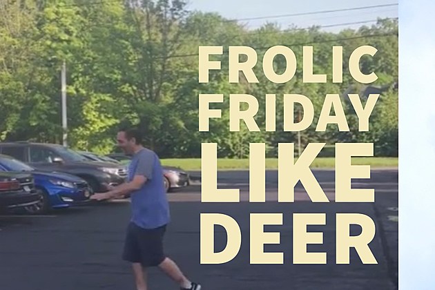 Frolic Friday: Deer