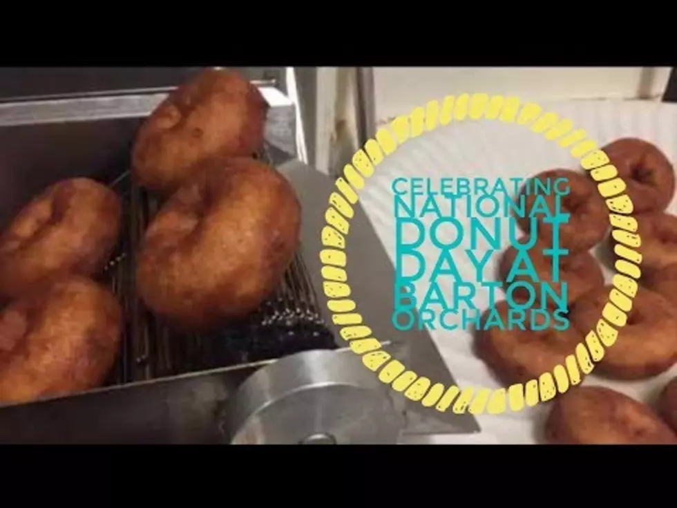 Celebrating National Donut Day at Barton Orchards
