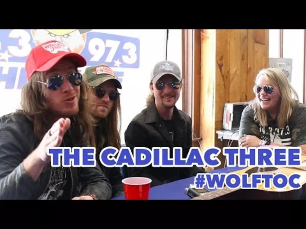 The Wolf Staff’s Greatest Hits from Past TOC Festivals