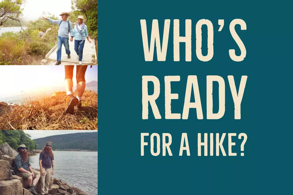 Guided Hikes
