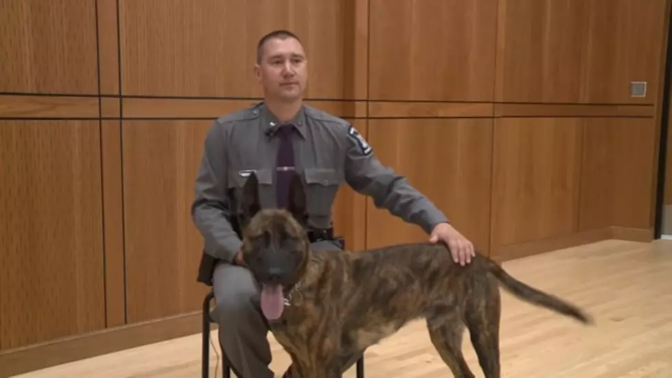 Hudson Valley Town Welcomes New K9