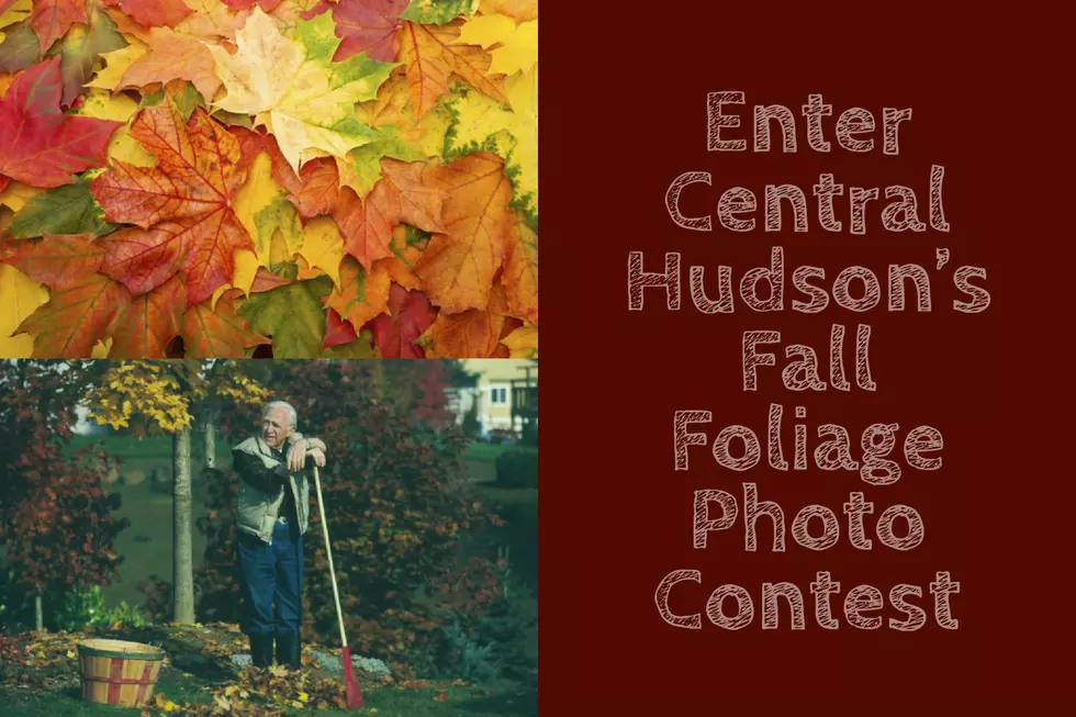 Annual Hudson Valley Fall Foliage Contest is Here