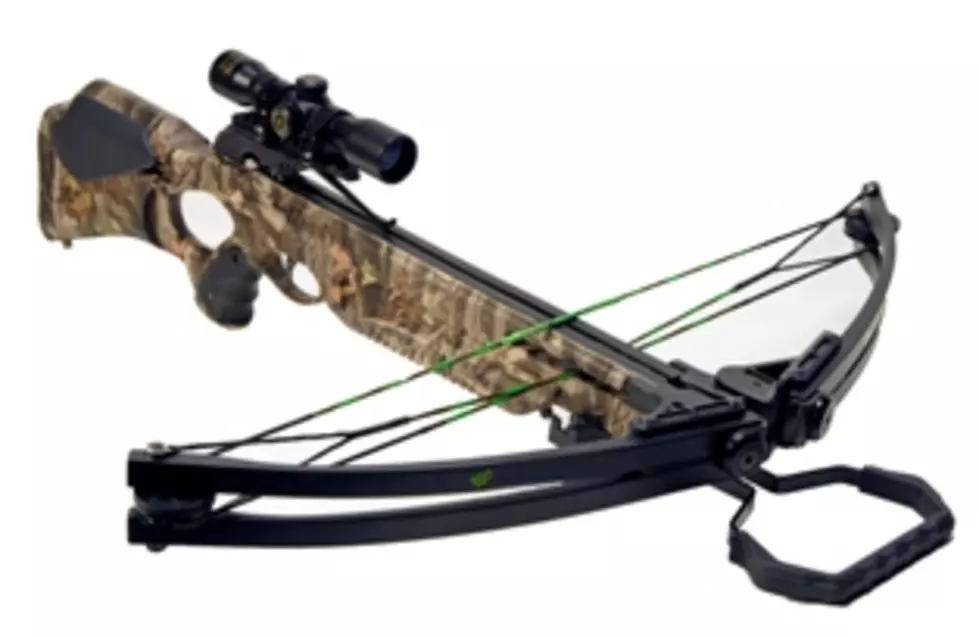 Hudson Valley Man Ticketed For Hunting From His Car with Crossbow