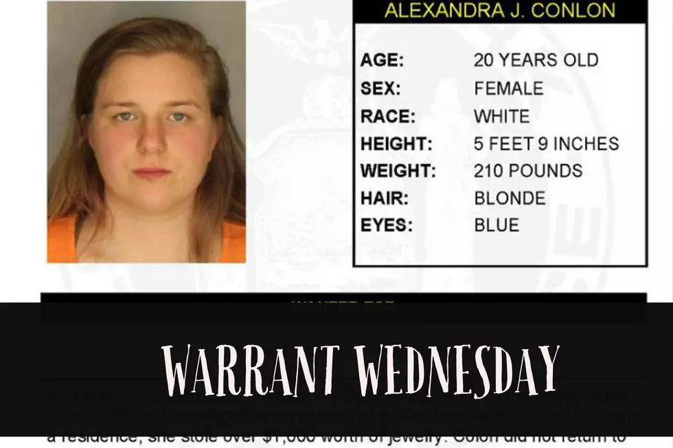 Warrant Wednesday: Sullivan County Woman Wanted For Grand Larceny