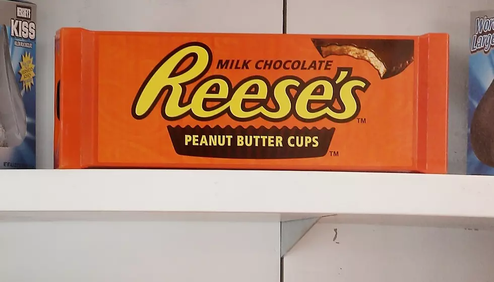 Reese’s Candy Converter Machine Made Its Debut in Hudson Valley