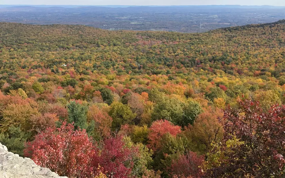 Is This The Best Spot For Leaf Peeping in The Hudson Valley?