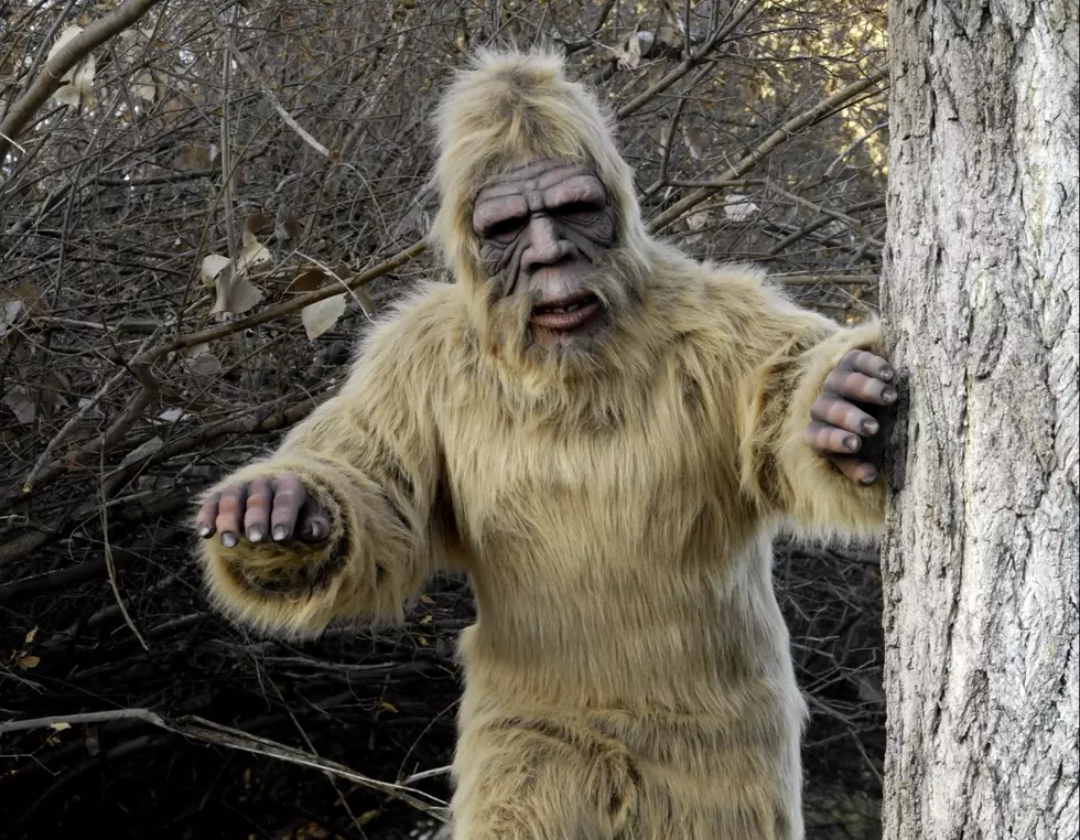 Bigfoot Sighting in Dutchess County Debunked