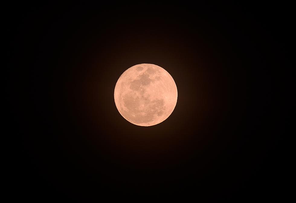View April's Full Pink Moon in Rhinebeck