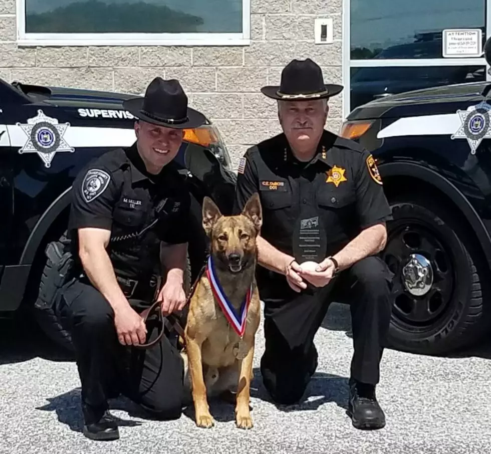 Orange County K9 Places 2nd at National Competition
