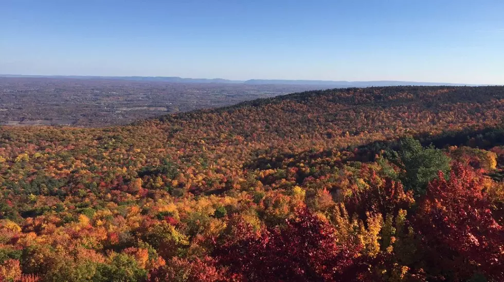 Where’s Your Favorite Fall Foliage Spot in the Hudson Valley?
