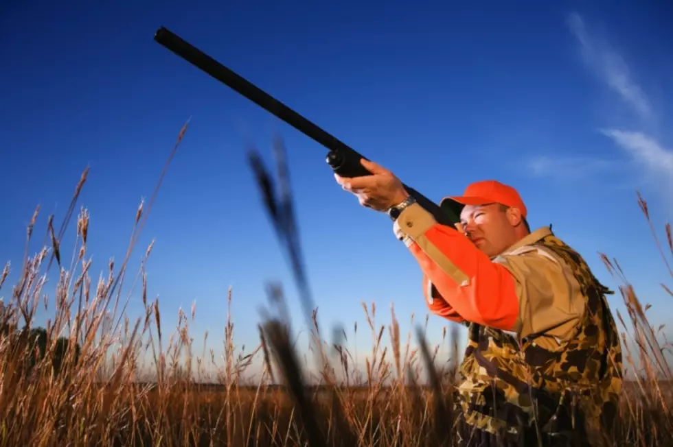 NYS DEC Offering Hunting Safety Course Online