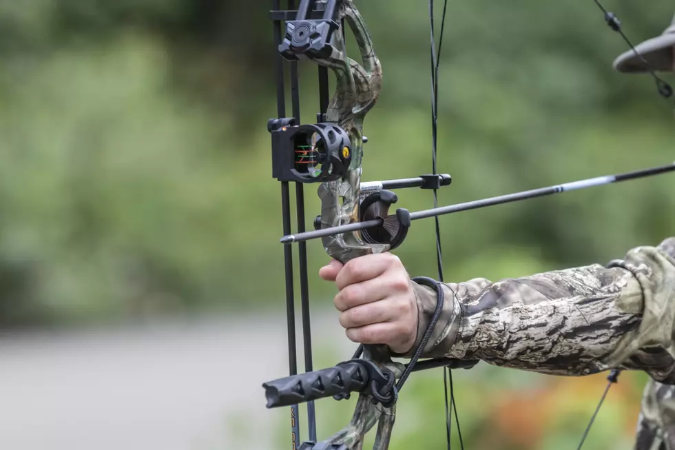 Get Your Bowhunting Certificate Online Now until August 31st