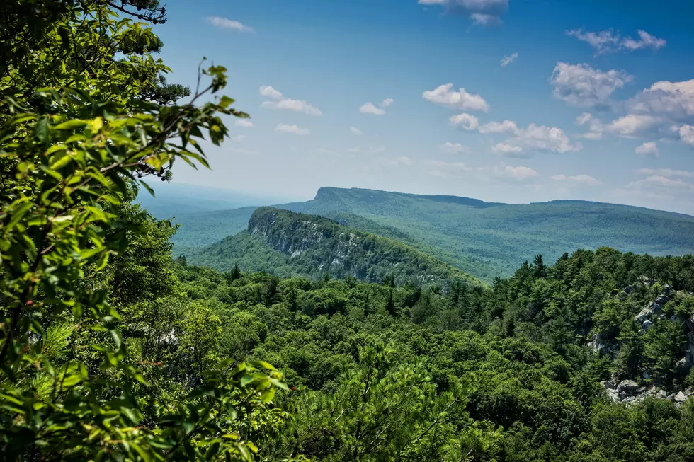 Nature Awareness Week Offered at Mohonk Mountain House