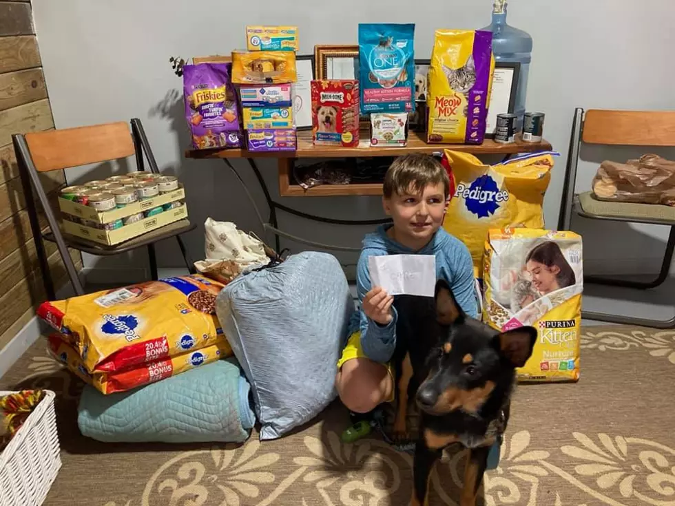 Hudson Valley Boy collects Donations for CARE of DC