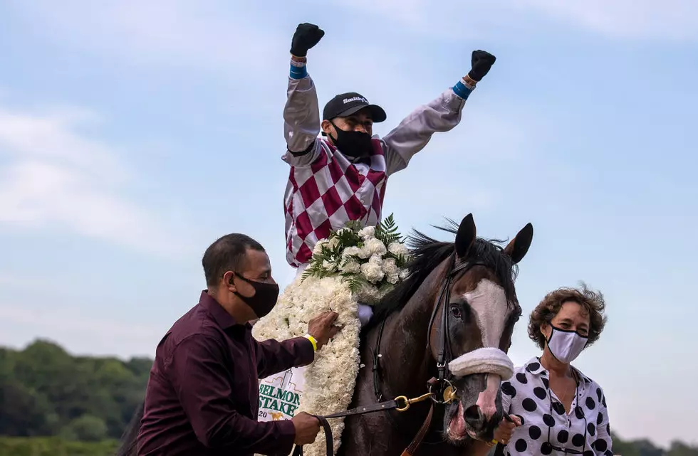 New York Bred Tiz the Law Favored to Win the Derby