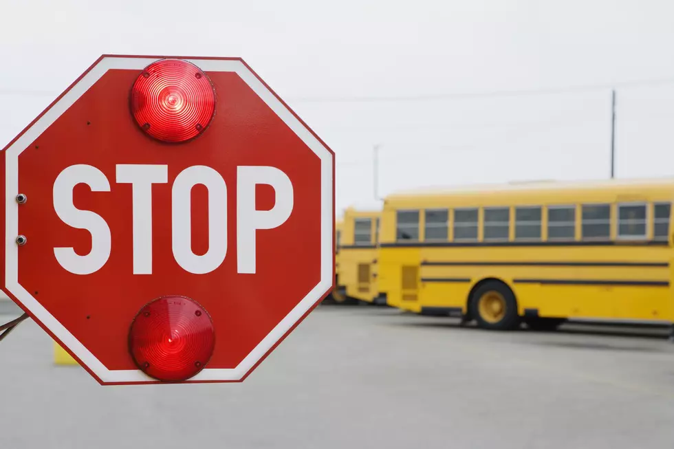 REMINDER: Stop for Hudson Valley School Buses