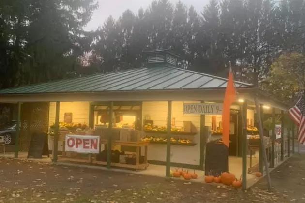 Red Hook Farm Stand Will Stay Open this Winter