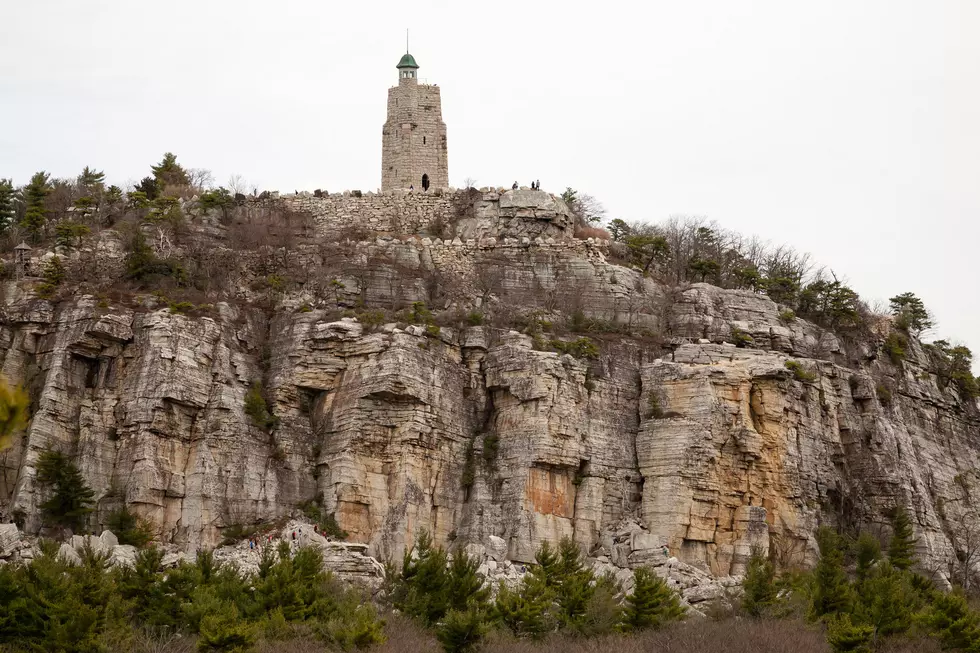 Mohonk Preserve Has What You Need to Plan 2021