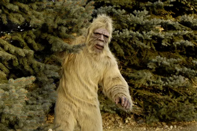 4 of The Biggest Bigfoot Stories From the Hudson Valley in 2020