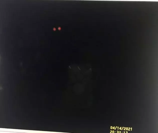 Sinister Glowing Eyes Caught on Security Video in Highland