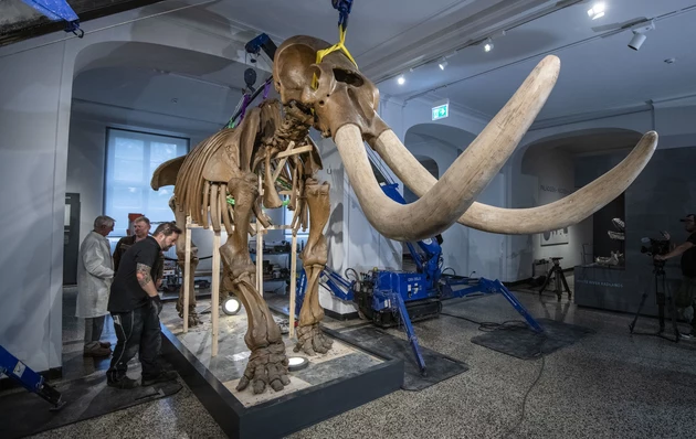 Remember When Mastodon Bones Were Found in the Hudson Valley?