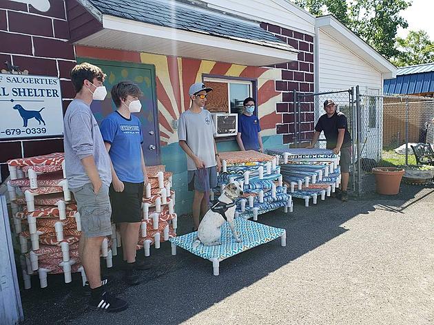 Hudson Valley Eagle Scout Helps Saugerties Shelter Raise Much Needed Cash