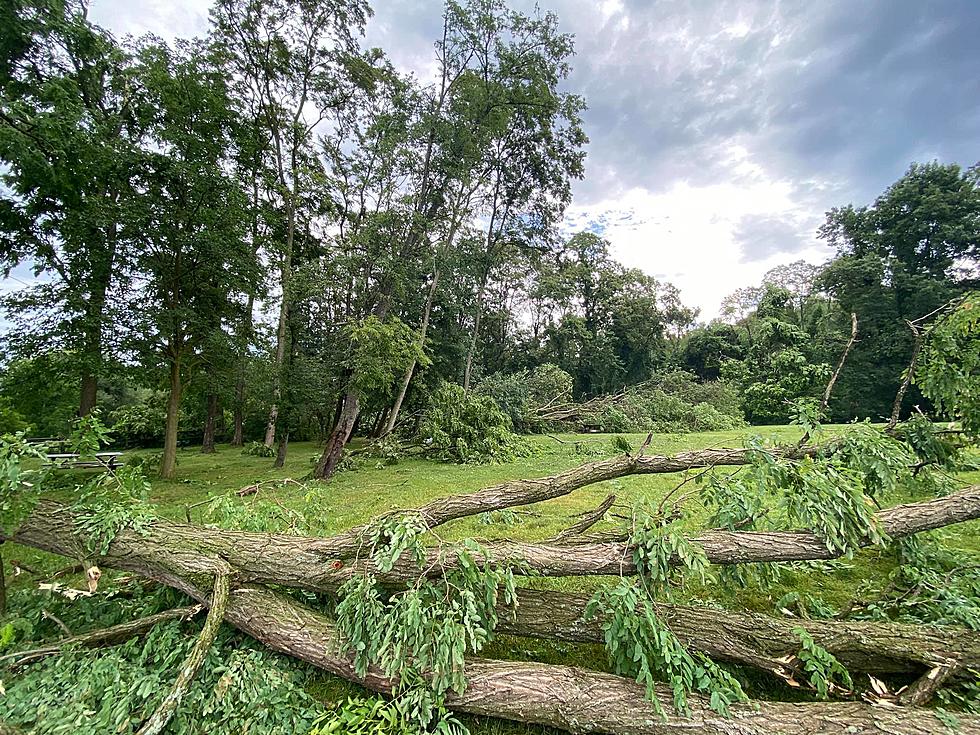 Popular Dutchess County Park Closed After Storm Damage