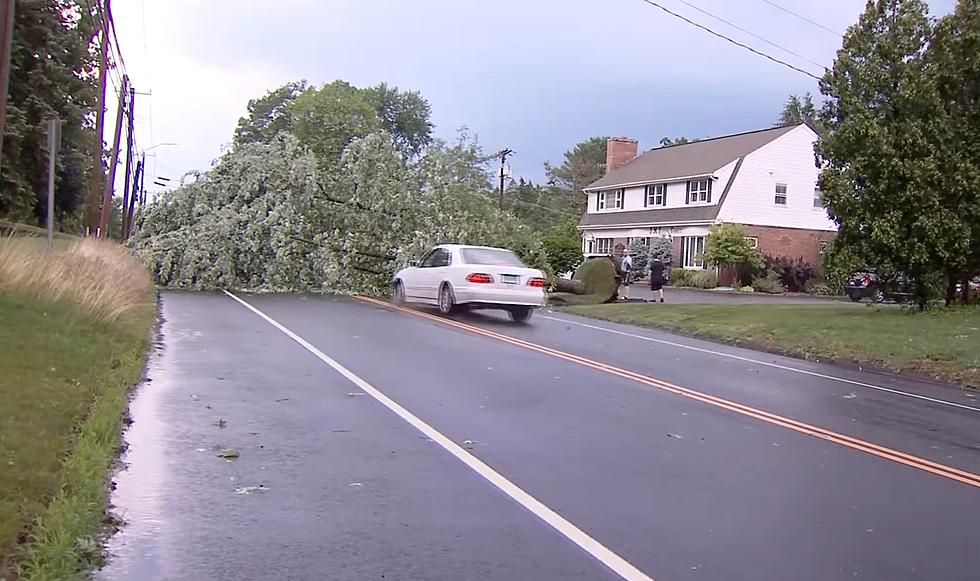Car Slams Into Tree on Connecticut Road (VIDEO)