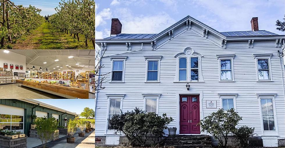 Charming 80-Acre Hudson Valley Apple Orchard and Farm Stand Could Be Yours