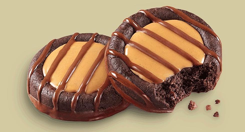 Hudson Valley Girl Scouts Introduce New Brownie Cookie