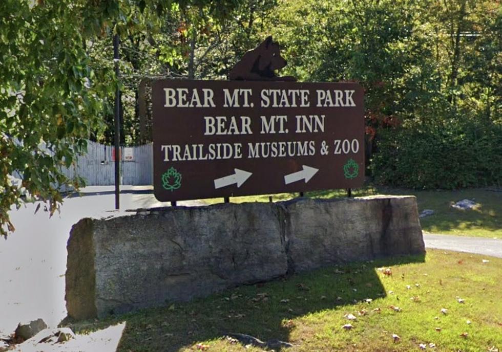Bear Mountain Zoo Temporarily Closed This week