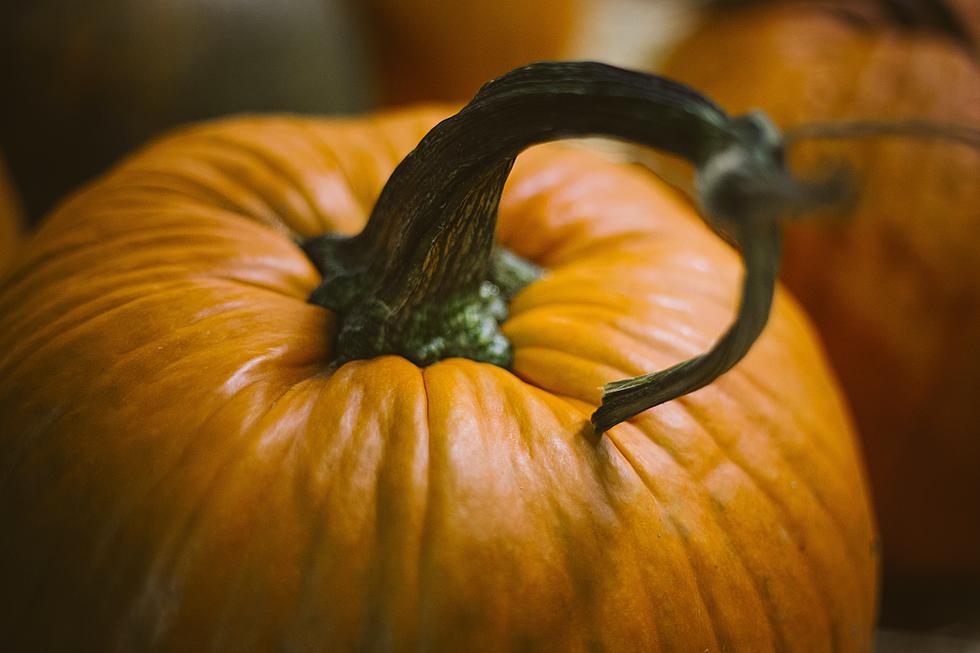 4 Amazing Recipes for Hudson Valley Pumpkins that aren't Pie
