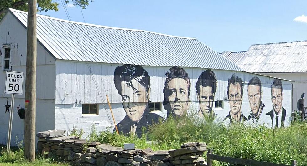Have You Ever Taken a Picture of the Elvis Mural in Warwick?