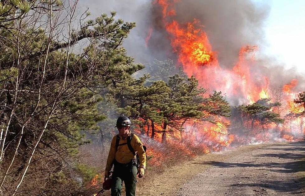 Remember the Wildfires at Sam's Point in 2016?
