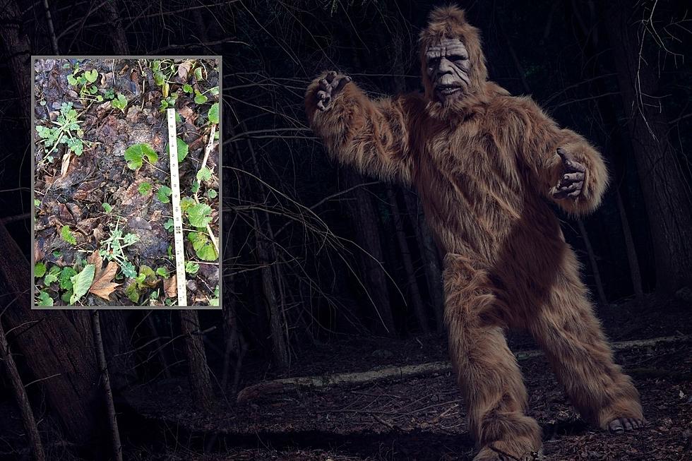 Bigfoot Returns to the Hudson Valley, This Time in Wingdale