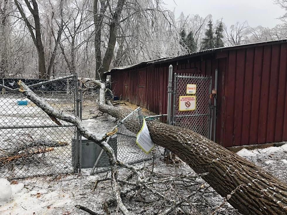 Friday's Ice Storm Leaves Ulster County SPCA Damaged