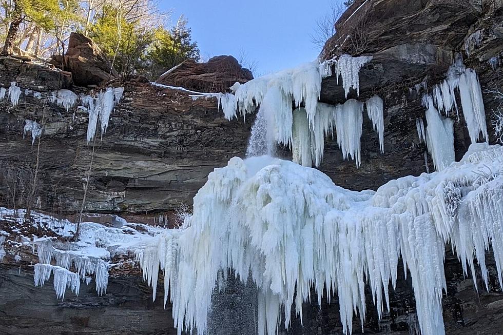 Tragedy at Kaaterskill Falls Involving Unleashed Dog