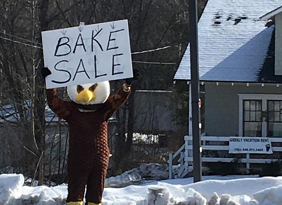 Popular Wildlife Nonprofit in New York Holds Bake Sale Fundraiser