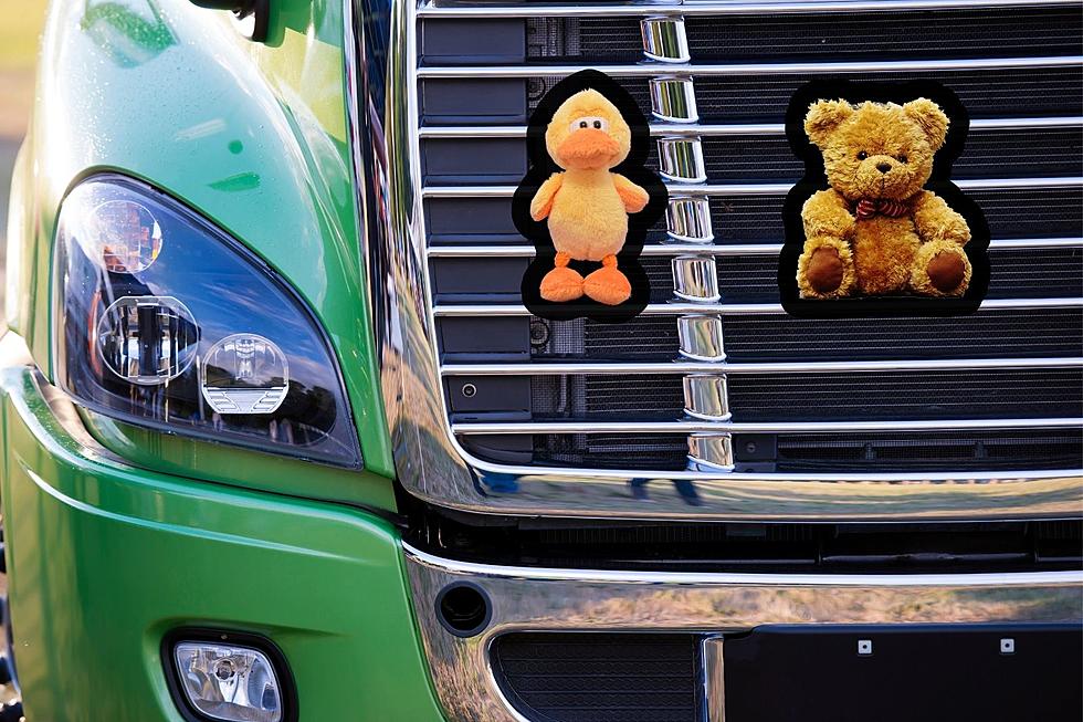 Why Are we Seeing Stuffed Animals Hanging From Hudson Valley Big-Rigs?