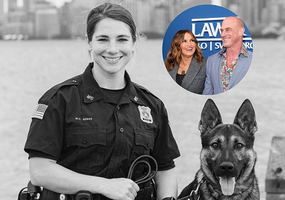 Monroe K9 and Cop Make Acting Debut on Law and Order