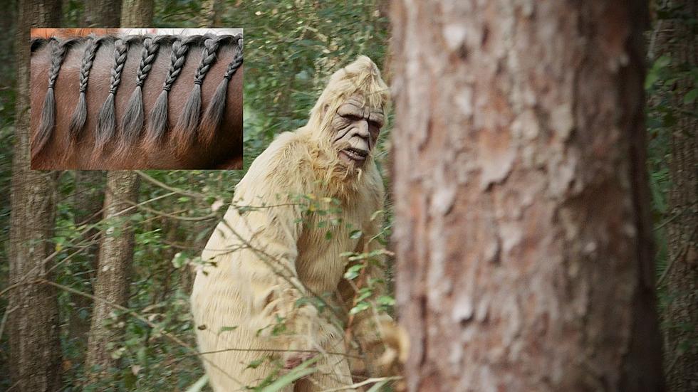Bigfoot Possibly Breaks into Orange County Barn and Braids Hair