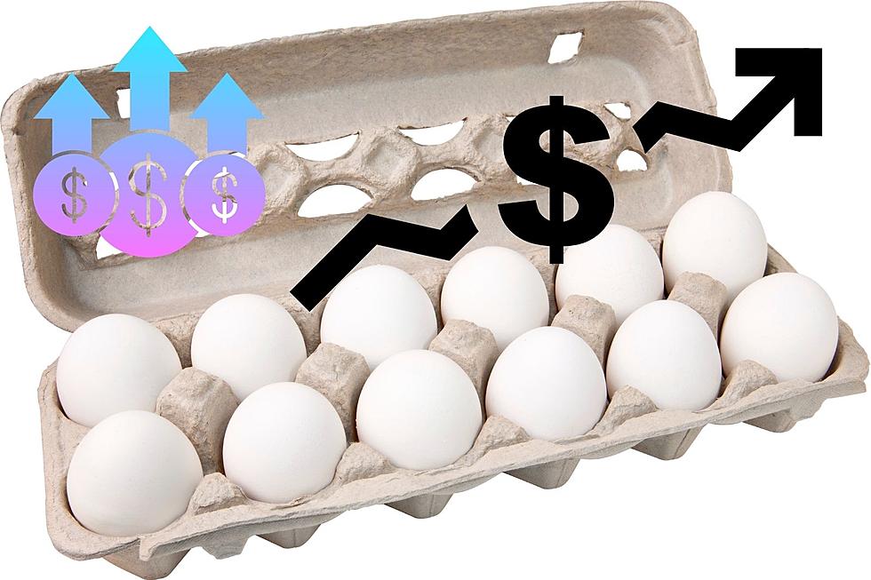 Why Have Egg Prices Skyrocketed in the Hudson Valley? Don’t Blame the Chickens