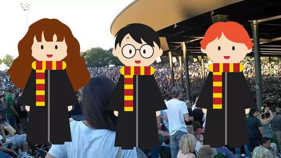 Potterheads! Prepare for a Magical Night at Bethel Woods in August