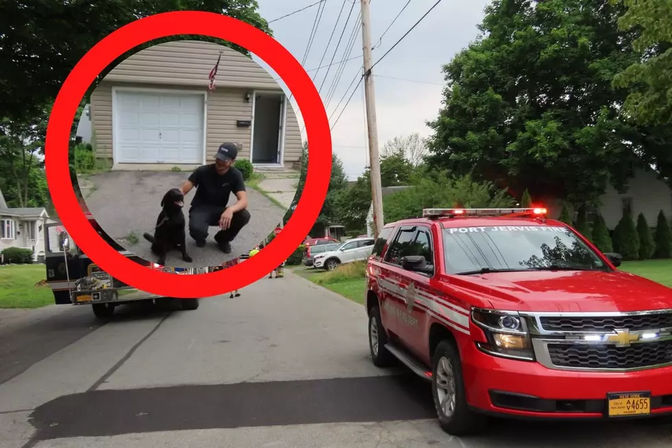 Family Dog Reminds us All about Fire Safety New York